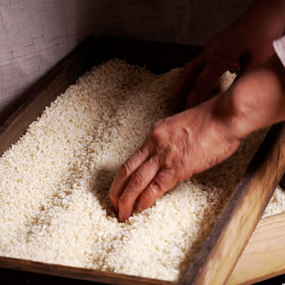 국내최초 100% 천연 쌀 누룩 조미료